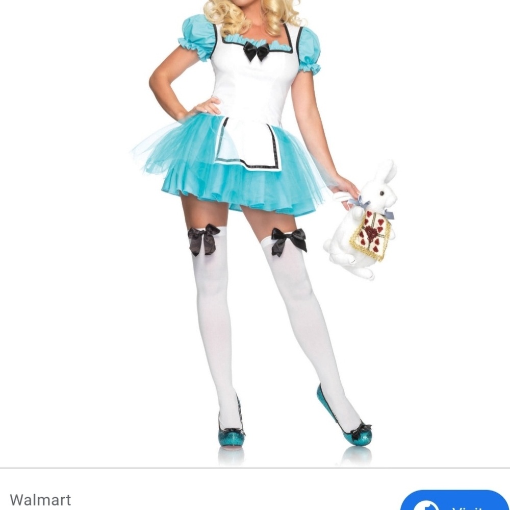 Adult Alice in Wonderland Costume (small)